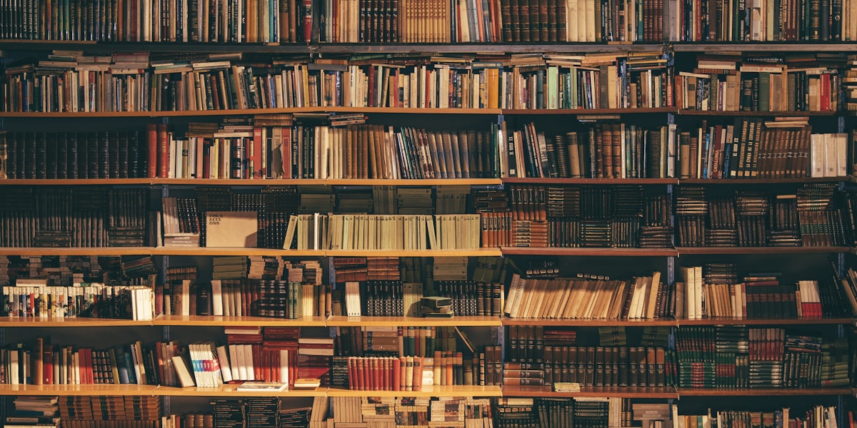 Floor-to-ceiling library shelves filled with books