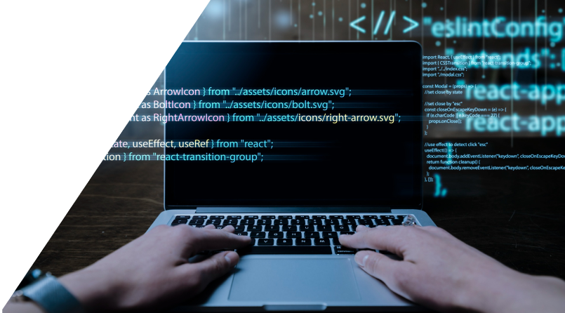 Custom Software Development