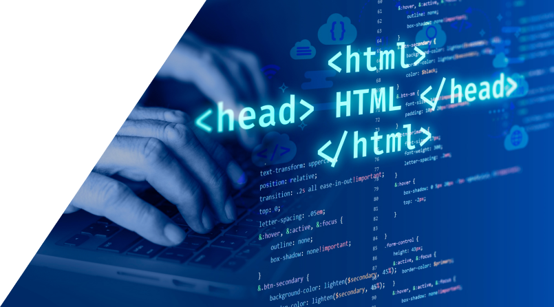 WordPress Development